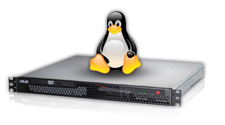 linux-system-management-self-managed-or-managed-by-your-host-semoweb